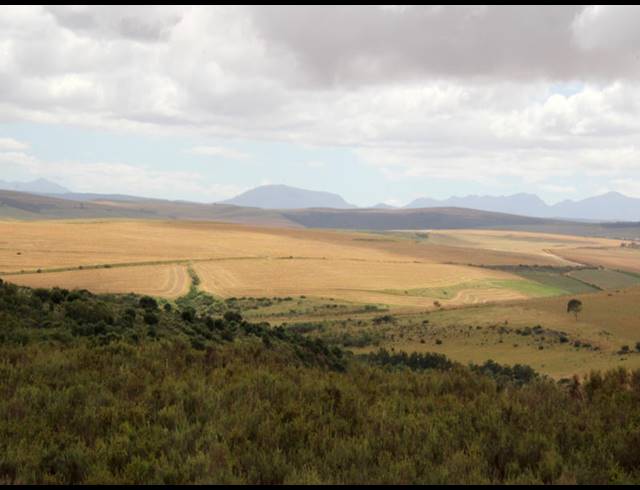 69HA FARM FOR SALE IN BOT RIVER